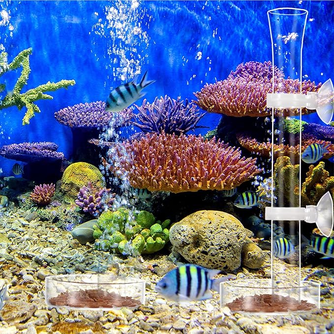 Chengu 3 Pieces Shrimp Feeding Tube and Dish Set, 8 Inch Glass Shrimp Feeder Tube and 2 Aquarium Dish Bowl Fish Tank Feeding Supplies for Fish Tank Aquarium