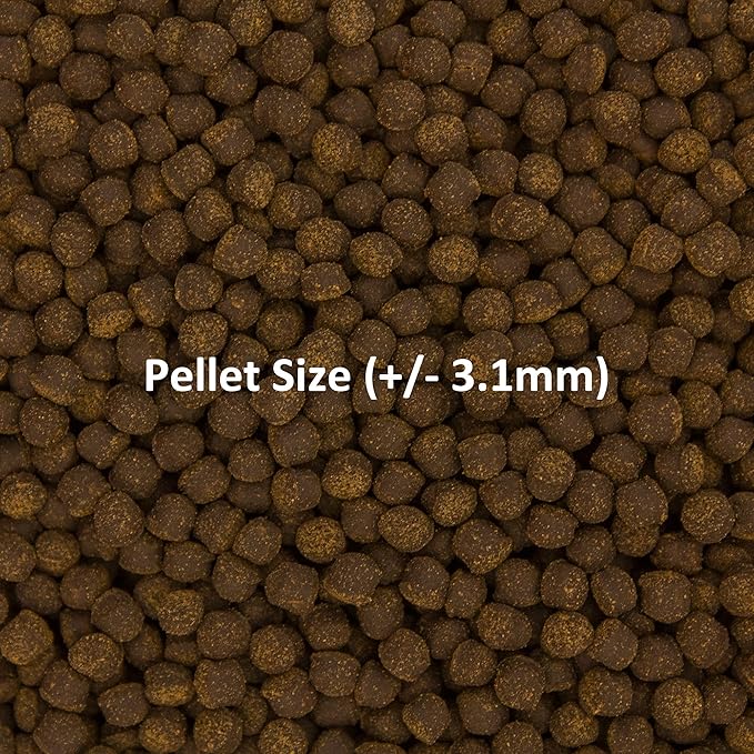Ocean Nutrition Fish Food - Cichlid Pellets, High Protein (41%) Soft Moist Sinking Pellets for Omnivorous Predatory Cichlids - Enhances Color & Growth, 7 oz (200 g), Medium Pellet