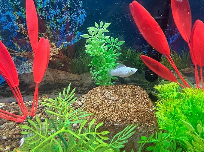 EcoBio-Block Natural Volcanic Rock for Aquarium Water Clarity & Balance — Low-Maintenance Alternative to Weekly Additives — for Freshwater Fish, Turtles, Shrimp & Frogs (Small, 8-16 gal)