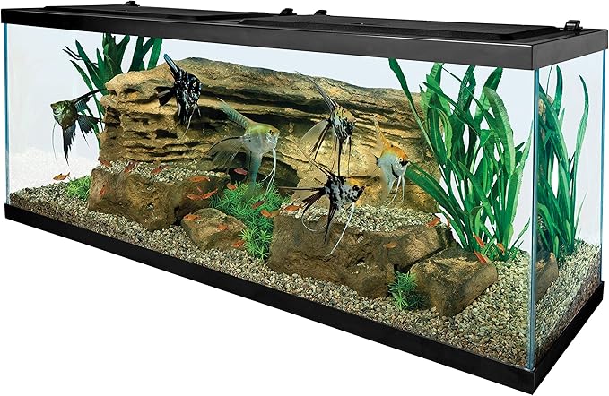 Tetra Glass Aquarium 55 Gallons, Rectangular Fish Tank (NV52018)