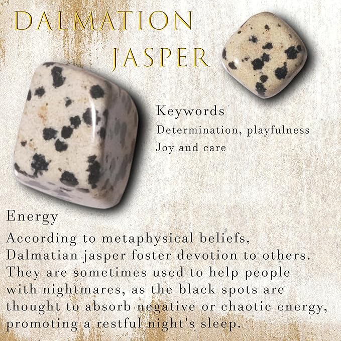 Tumbled Dalmatian Jasper Crystal Chips Bulk 1lb, Healing Gemstone Chips Bulk, DIY, Vase Filler, Succulent Soil, Creative Pebble, Potting Mix, Garden Decor, Aquarium Gravel & Fish Tank Rocks