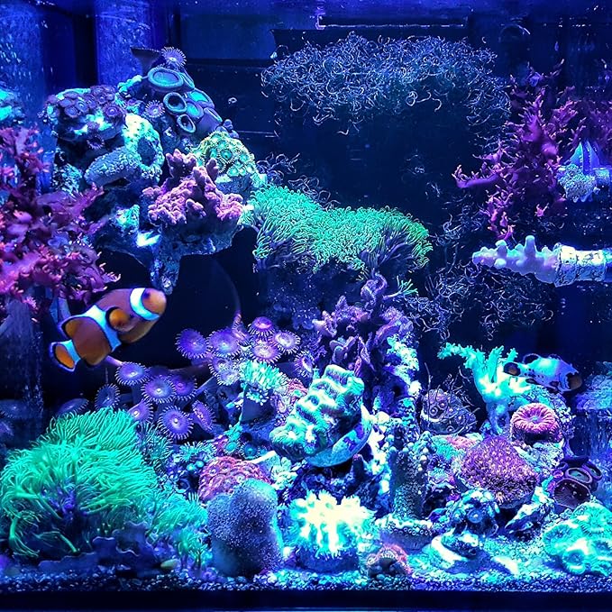 ABI 12W Tuna Blue LED Bulb Coral Reef Optimized Spectrum PAR38