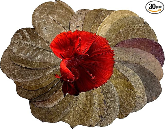 Awesome Aquatic Betta & Shrimp Leaves 30 4"-6" Premium Catappa Indian Almond Leaves Natural Habitat Tannin Producing Improves Immunity, Easy to USE