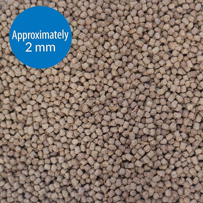 API Betta Food Fish Food Pellet .78-Ounce Container (Pack of 2)