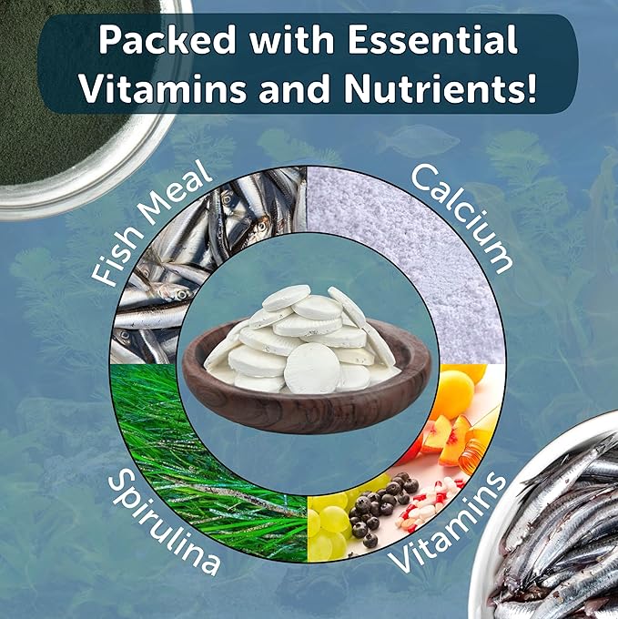 Calcium Feeding Shells, Small & Medium for Shrimp, Snails, Crabs, Crayfish, Plecos, Catfish, All Tropical Fish, 4-Type Wafer & 12-Type Pellet Mix Included 40 Count Canister