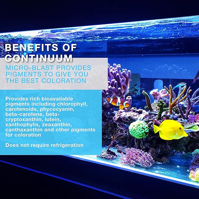 Continuum Aquatics ACO30671 Micro Blast for Aquarium, 8.5-Ounce