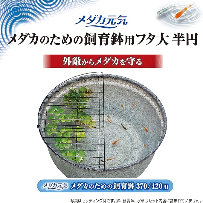 GEX Medaka Genki Large Lid for Breeding Pots, Semicircle Dedicated Lid, Fine Wire Mesh, Protects Medaka from Predators, Steel