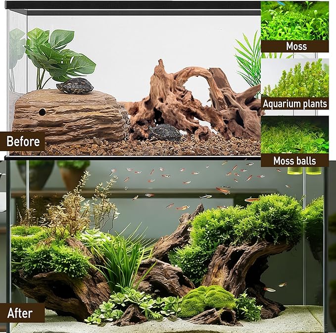 Kaiyuan Dynasty Natural Aquarium Driftwood Reptile Drift Wood Branches Driftwood Branches for Fish Tank Terrariums 6-10" 3Pcs
