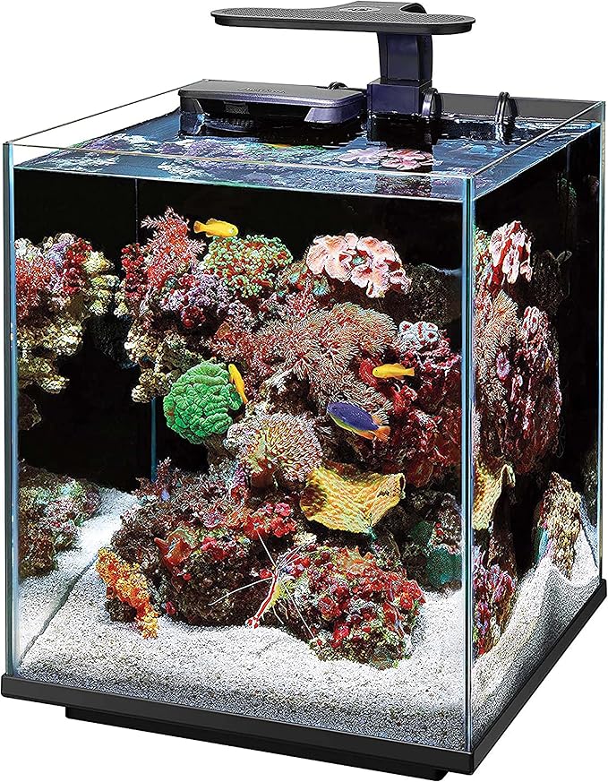 Coralife Aquarium Fish Tank Marine Salt Water Clip-On LED Light