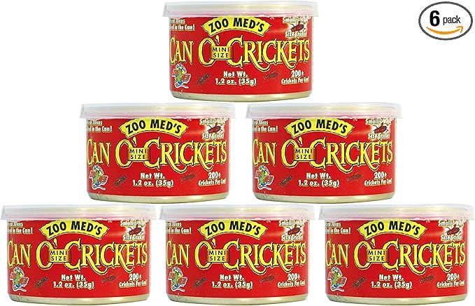 Zoo Med Can O' Mini Size Crickets, 1.2 Ounces, Reptile Bird and Fish Food (6 Pack)