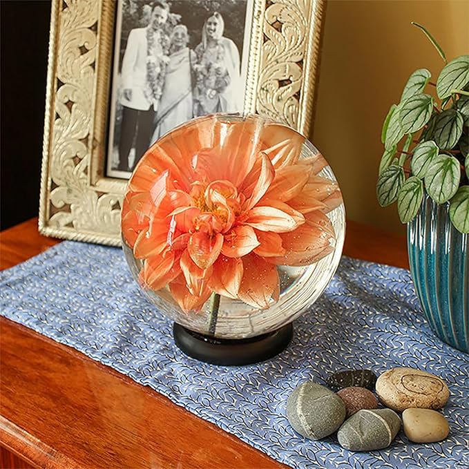 Achla Designs Flower Aquariums Set of 3 Glass Orb Bud Vases with Floral Frog Base, 6.5 Inch Decorative Flower Display Spheres with Plastic Stand, Water Filled Magnifying Flower Vessel Centerpieces