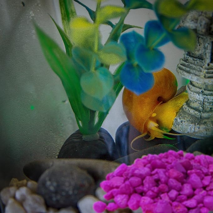 Needzo Hermit Crab Gravel Substrate with Scooper, Neon Rocks for Terrarium and Aquarium Habitats, Colors May Vary