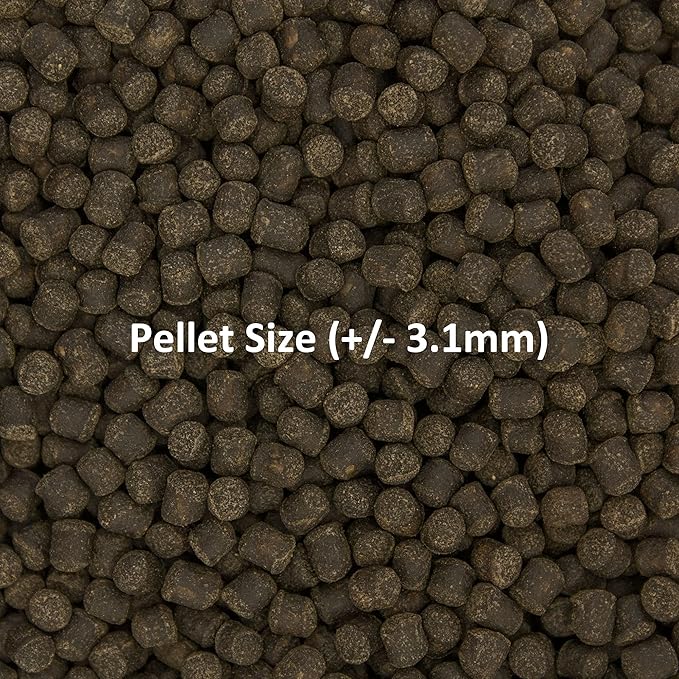 Ocean Nutrition Formula Two Pellets - Fish Food for Herbivorous & Omnivorous Marine Tropical Fish, High Protein(40%) - 7 oz (200 g) Medium Pellets