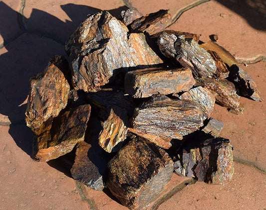 10lb Petrified Wood for Aquariums