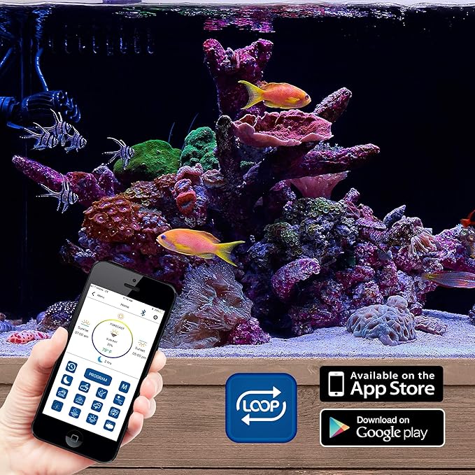 Current USA Dual 72" Inch Orbit Marine PRO IC Loop LED Saltwater Reef Marine Aquarium Light with Bluetooth App Control | Wireless Lighting & eFlux Wave Pump Control for Fish Tank (4338)