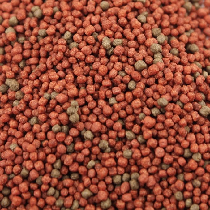 Pisces Pros Betta Bites Fish Food (1 oz)