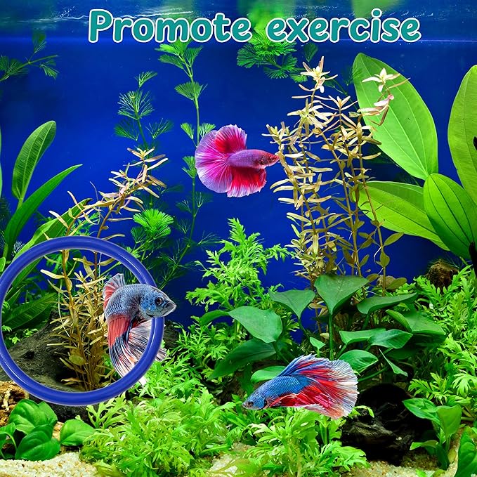 Betta Fish Enrichment Toys Ring and Mirror , Floating Exercise Mirrors And Training Ring, Floating Mirrors Aquarium With Feeding Rings, Fish Toys, Betta Fish Tank Accessories (Blue+Mirror, 6.4cm)