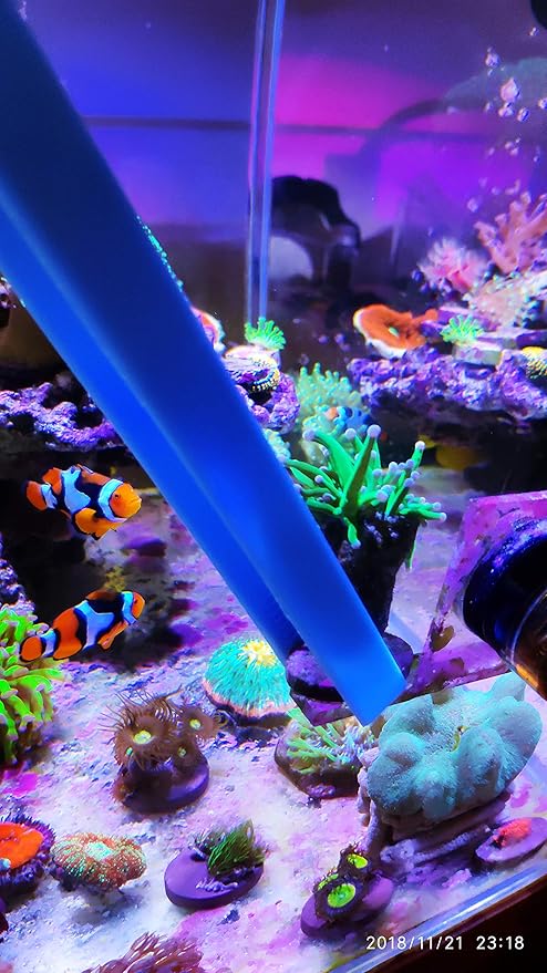 Aquarium Choice Coral Feeder Syringe - 11.8 Inch Reef Tweezers, Never Rusts, Fish Excreta Cleaner