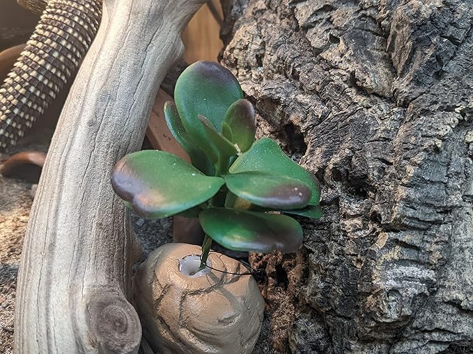 Josh's Frogs Arid Artificial Plants for Reptiles (Jade Succulent)