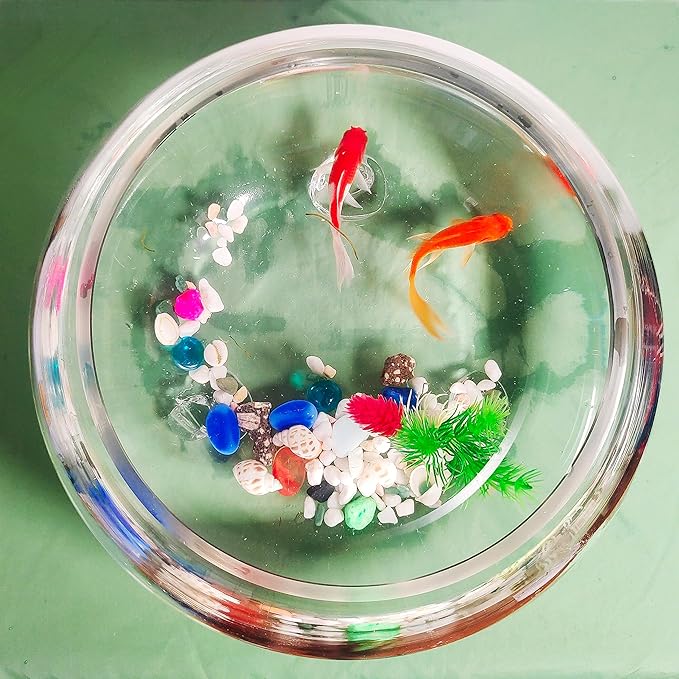 2 Gallon Glass Fish Tank,Sturdy Nicely Betta Fish Bowl,Small Aquariums for Small Ornamental Fish and Reptiles,High Transparency Glass Good View of Your pet,with Three Support Feet