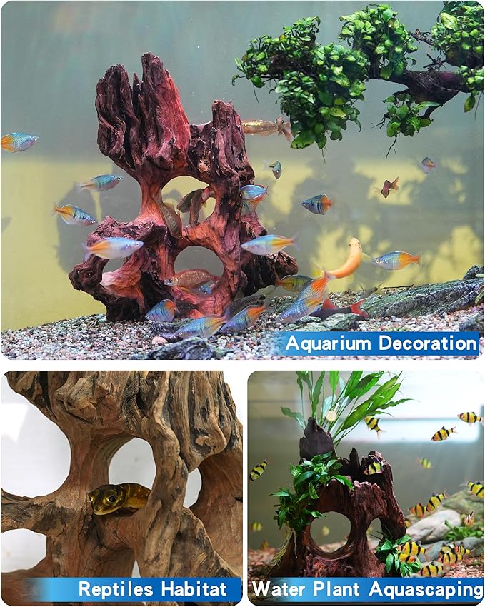 Aquarium Driftwood Fish Cave for Betta Fish Shrimp Hideout,10-12" Natural Porous Driftwood for Aquascaping with Low Tannins,Reptiles Shelter Fish Tank Decoration with Protein Cotton(No need to boil)