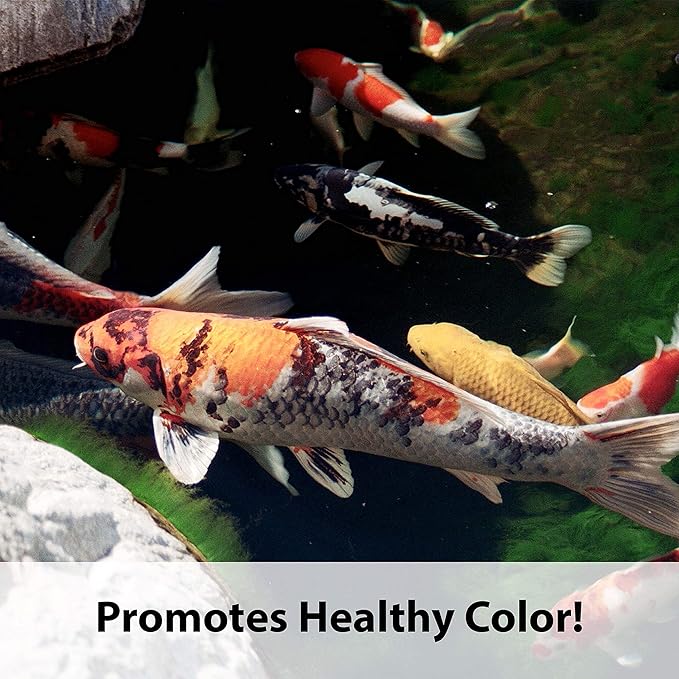 Kaytee Koi’s Choice Koi Floating Fish Food, for Koi, Goldfish and Pond Fish, 10 pounds (Pack of 2)