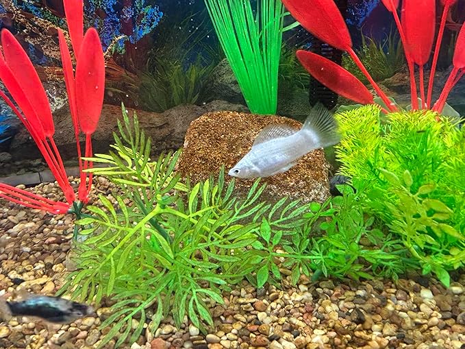 EcoBio-Block Natural Volcanic Rock for Aquarium Water Clarity & Balance — Low-Maintenance Alternative to Weekly Additives — for Freshwater Fish, Turtles, Shrimp & Frogs (Nano 2-Pack, 0.8-1.5 gal ea.)