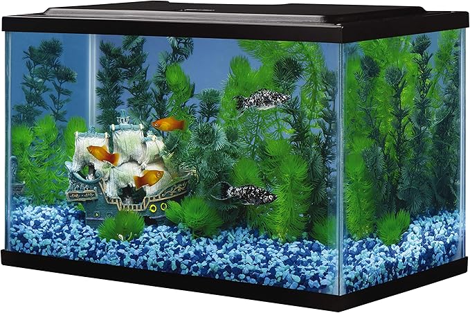 Tetra Glass Aquarium 5.5 Gallons, Rectangular Fish Tank