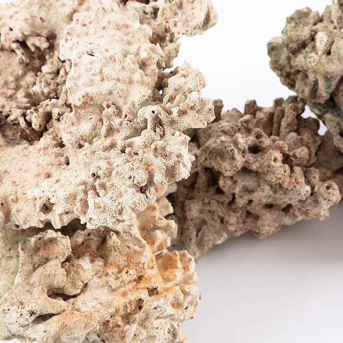 Aquarium Dried Reef Rock Mixed Pack (10kg)