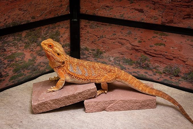 Natural Habitat Basking Rocks for Reptiles, Wyoming Rose, Medium Size Pair,