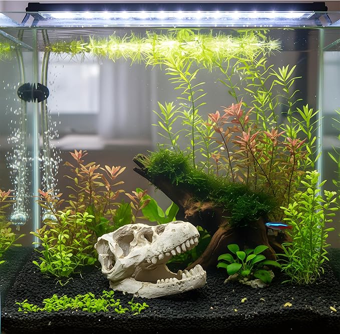 Mini T-Rex Skull Aquarium & Reptile Tank Decor – Dinosaur Fossil Hideout for Fish, Geckos, Hermit Crabs, and Terrariums – Small Resin Jurassic Decoration for Aquascape, Vivarium, or Pet Habitat