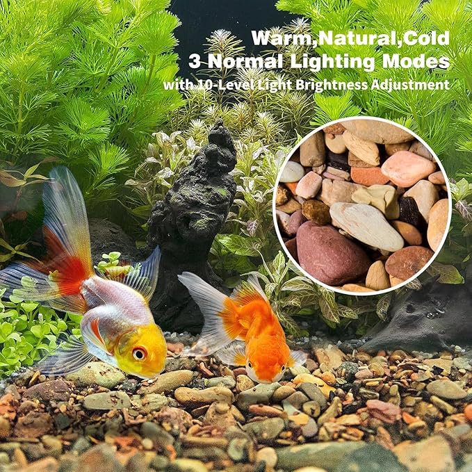 WDEFUN Aquarium Gravel River Rock, Natural Polished Mixed Colorful Stones, 10 LBS, for Plant Aquariums, Landscaping, Vase Filler