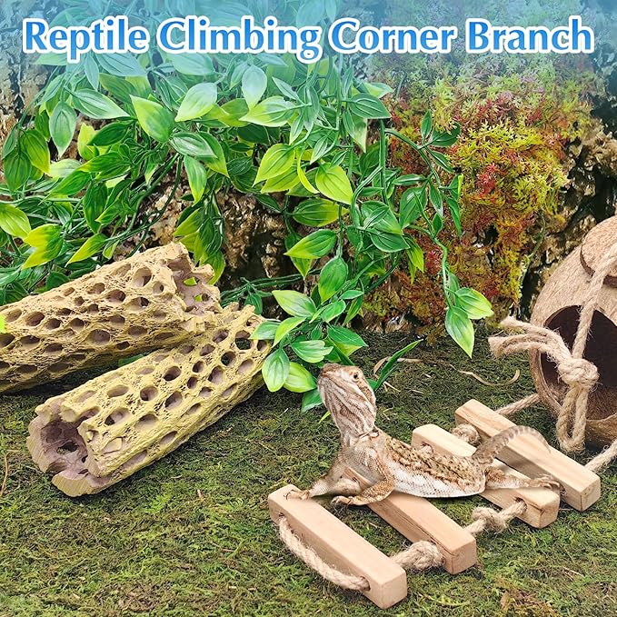 kathson Resin Cholla Wood Aquarium Shrimp Hideout Fake Fish Tank Hollow Log Hideawy Reptile Climbing Corner Branch Hermit Crab Terrarium Ornament Decoration (2 Packs)