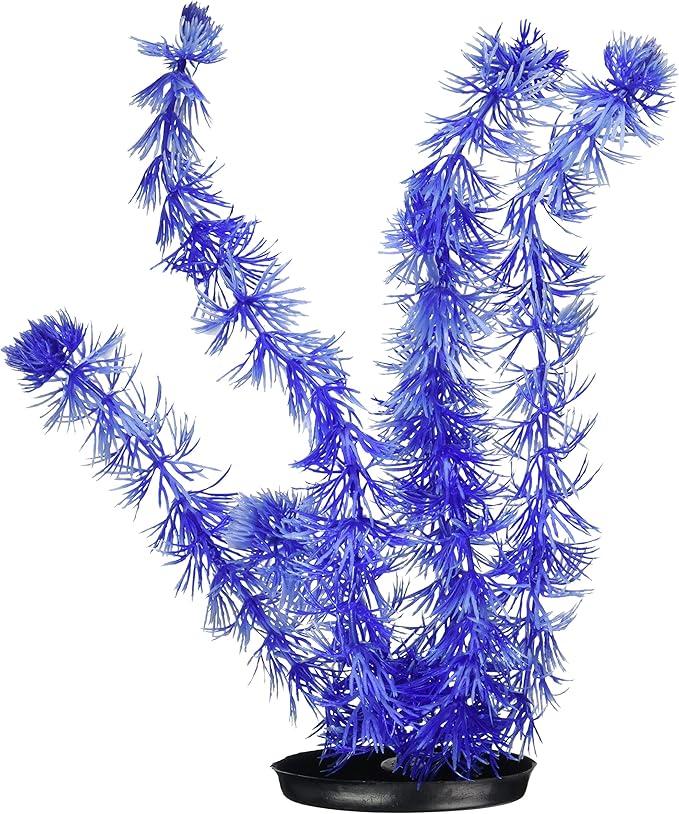 Marina Vibrascaper Hornwort Large Plant, 12-Inch