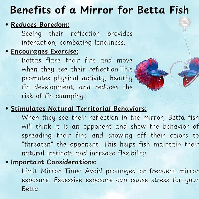 Betta Ring and Mirror Toy for Aquarium, 2 pcs Betta Ring Enrichment Toys, Floating Exercise Mirrors for Fish Tank and Training Feeding Rings, Fish Toys, Aquarium Accessories (Black, M-Heart)