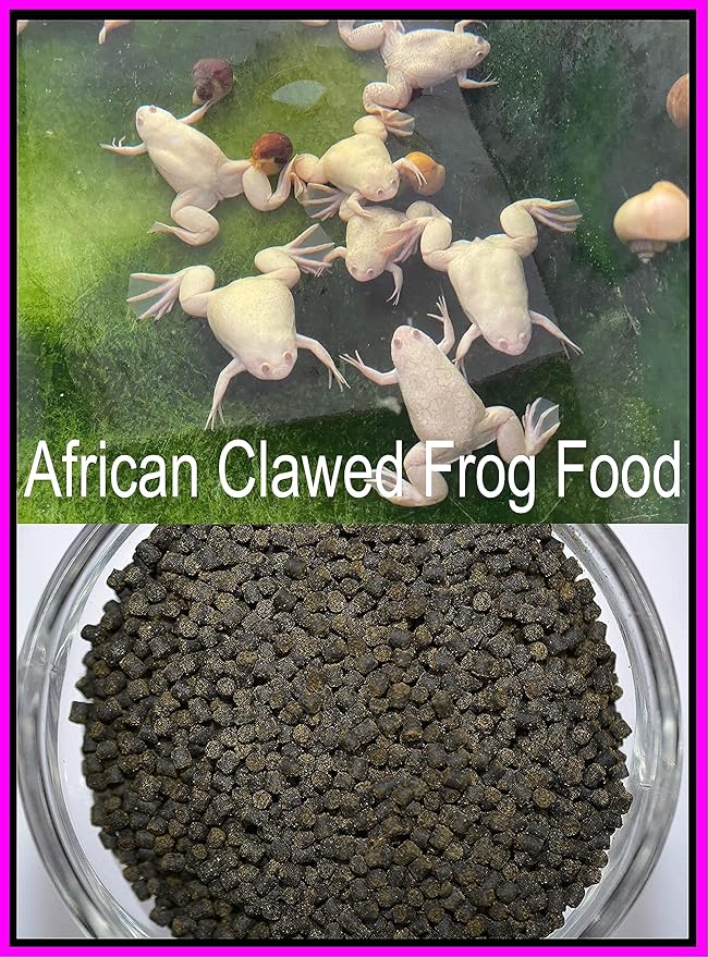 African Clawed Frog Soft Food Bits - Aquatic Frog Food 2.4 A282FC - 3oz
