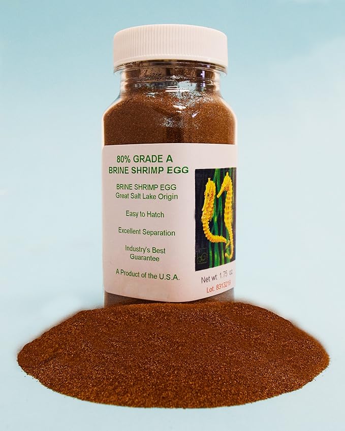 Brine Shrimp Hatchery Dish + 3 Months Supply of Brine Shrimp Eggs (1.75oz Grade A)
