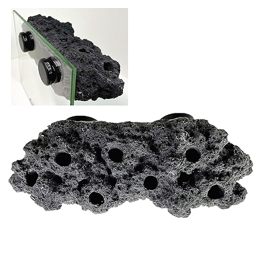 Magnetic Reef Coral Frag Rack Strong N52 Magnets for 1/2" Glass (Black)