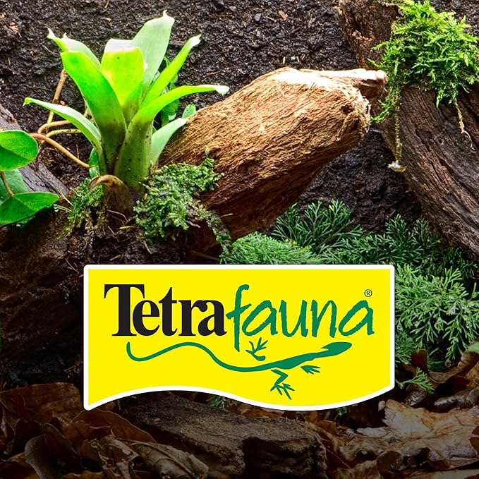 Tetra ReptoFilter Large Filter Cartridges for Terrariums, Fits TetraFauna ReptoFilter 50 gal, 3 Count (Pack of 2)