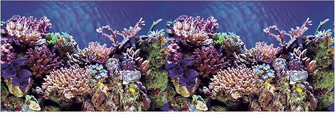 Aquarium Background Ocean Seabed /Coral Reef Double sides (24WX24H)