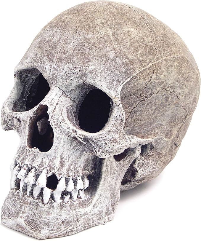 Exotic Environments Human Skull Aquarium Ornament, 5-Inch by 7-1/2-Inch by 6-Inch