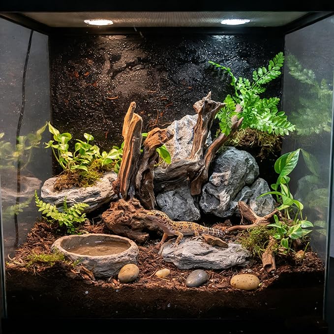 emours Natural Driftwood Small Aquarium Driftwood, 46", Natural Twisted Branches, Low-Tannin, Great for Shrimp/Betta & Nano Aquascapes, Also for Reptile Terrariums (5pcs Pack)
