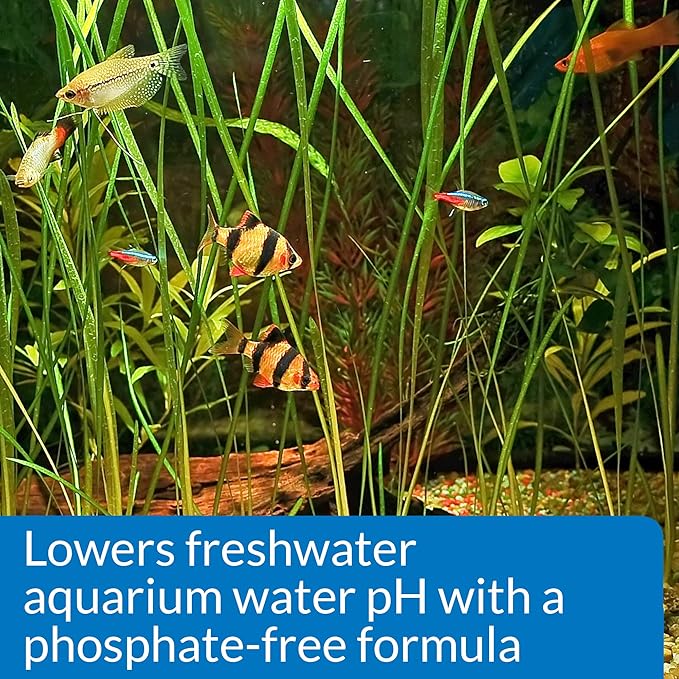 API pH DOWN Freshwater Aquarium Water pH Reducing Solution 4-Ounce Bottle