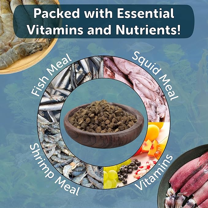 Axolotl Food 1/4" Soft Moist Sinking Pellets for Axolotls, Shrimp, Snails, Newts, Large Catfish, Monster Fish, Tropical Fish, Koi, Pond Fish, Salmon Meal Pellets - 1/2-lb