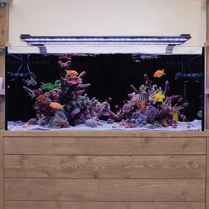 CURRENT USA Dual Adjustable Aquarium Light Arm Mount Kit