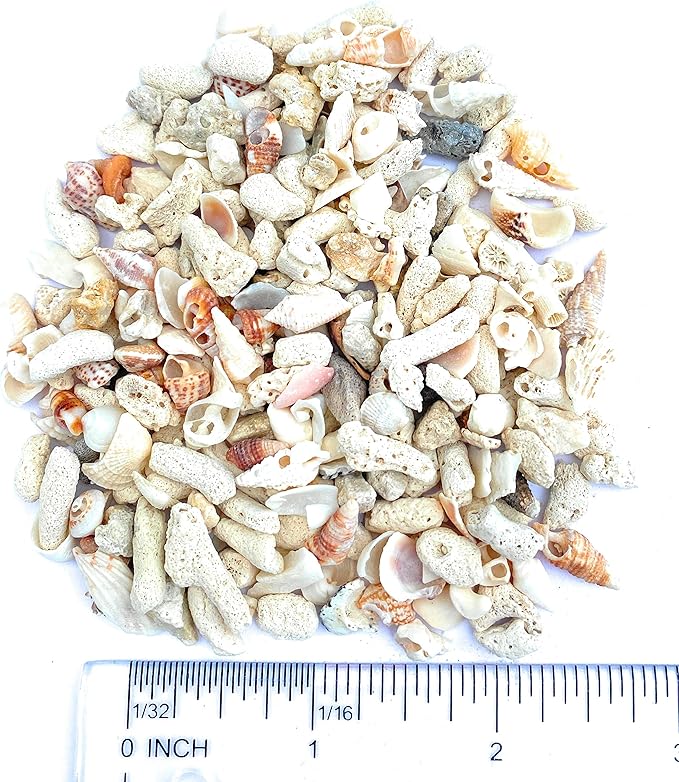 Middle Keys Marine Life LLC FINE Florida Keys Crushed Coral Aquarium Gravel 2.5 LB (~70 in3) for Aquariums, Terrariums, Vases, Landscaping, Bonsai, School Projects, Shell ID, Bio-Filtration