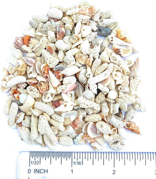 Middle Keys Marine Life LLC FINE Florida Keys Crushed Coral Aquarium Gravel 2.5 LB (~70 in3) for Aquariums, Terrariums, Vases, Landscaping, Bonsai, School Projects, Shell ID, Bio-Filtration