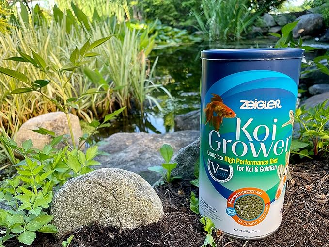 Zeigler Koi Grower - 20 oz