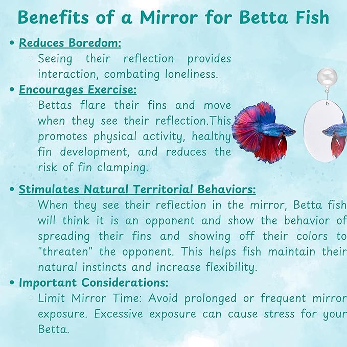 Betta Mirror Enrichment Fish Toys Stimulation, 2 pcs Exercise Feeding Rings And Training Mirror With Floating Ball Toy, Betta Fish Tank Accessories, Small Aquarium Tank Decoration (Orange, M)