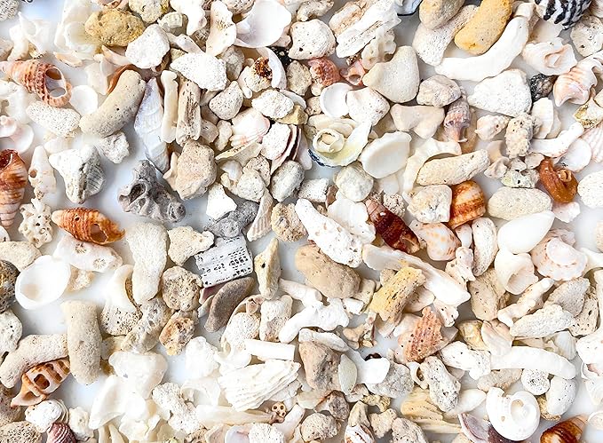 Middle Keys Marine Life LLC FINE Florida Keys Crushed Coral Aquarium Gravel 2.5 LB (~70 in3) for Aquariums, Terrariums, Vases, Landscaping, Bonsai, School Projects, Shell ID, Bio-Filtration